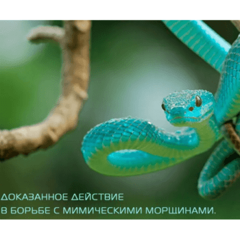 Дневной крем для лица ультраомолаживающий 50+ Green Snake — изображение 3