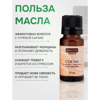 Эфирное масло Сосна — изображение 2