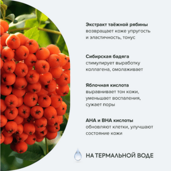 Рябиновый пилинг для лица рецепты бабушки Агафьи — изображение 3