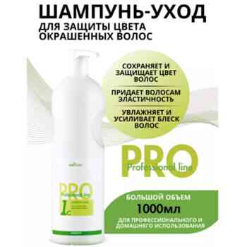 Шампунь-уход для защиты цвета окрашенных волос Professional line — изображение 2