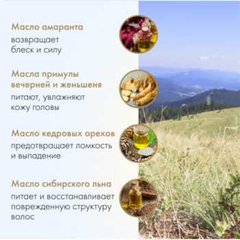 Шампунь-питание Агафьи восстанавливающий — изображение 3