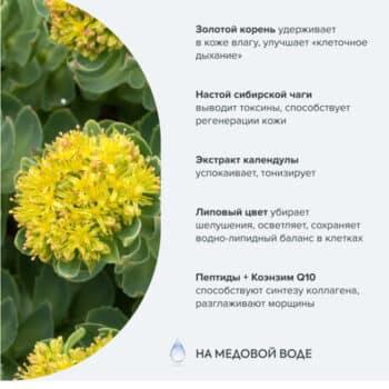 Golden Expert Day Cream for Face 65+ - Image 3
