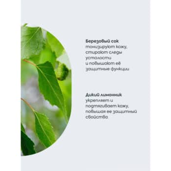 Agafya Birch Organic Micellar Water - Image 3
