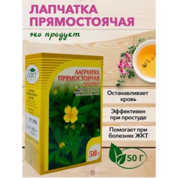 Лапчатка прямостоячая Калган корневище — изображение 2