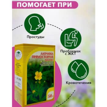 Лапчатка прямостоячая Калган корневище — изображение 3