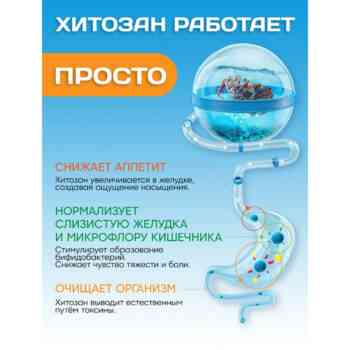 Доктор море Панцирь краба №60 — изображение 4