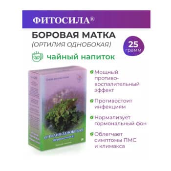 Ортилия однобокая боровая матка чайный напиток — изображение 2