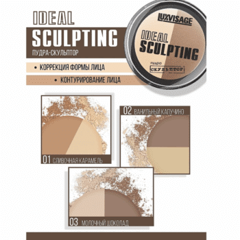IDEAL SCULPTING Sculptor - Image 2