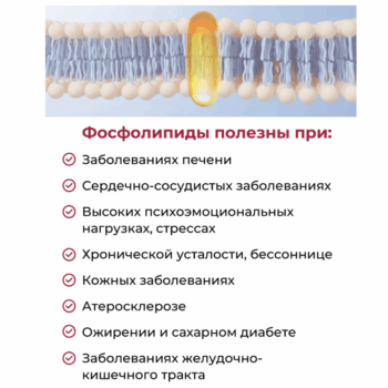 Лецитин Форте капс 1580 мг 30 капсул — изображение 4