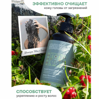 КАНДАЛАКША Натуральный шампунь на растительных экстрактах Хвощ и брусника Levrana — изображение 2