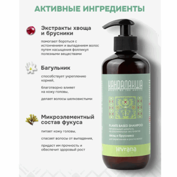 КАНДАЛАКША Натуральный шампунь на растительных экстрактах Хвощ и брусника Levrana — изображение 3