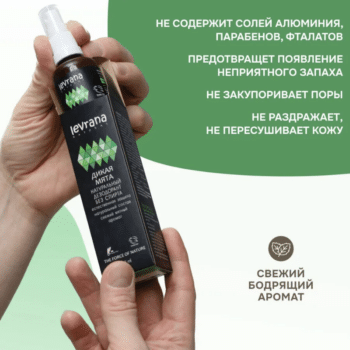 Дезодорант Дикая Мята мужской ECOCERT Levrana — изображение 3